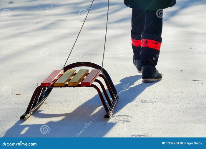 Sled snow sleds oddblocks