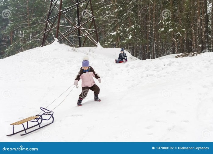 A child pulls a 15kg sled