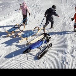 A child pulls a 15kg sled