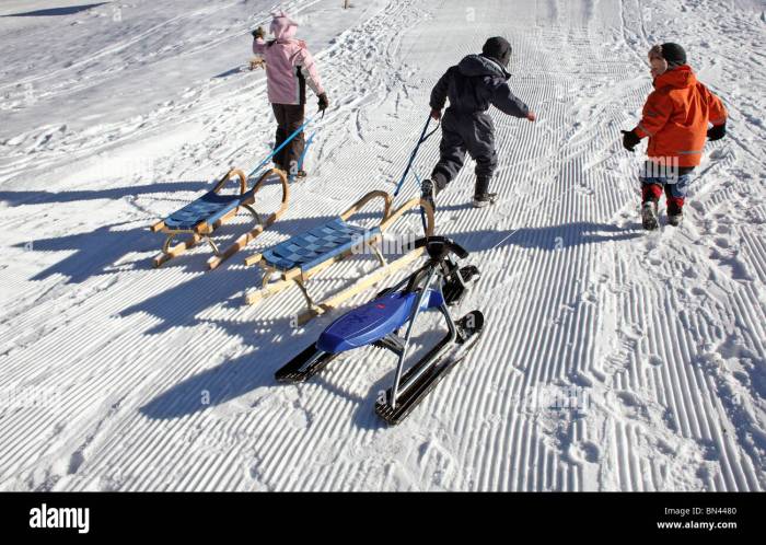 A child pulls a 15kg sled