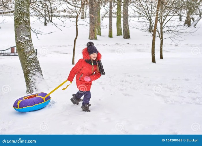 Pulls broke sled