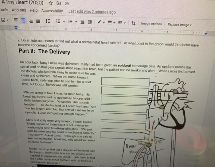 A tiny heart case study answer key pdf