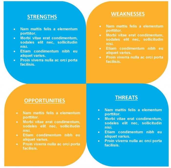 A photographer wants to do a swot analysis