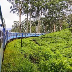 Ceylon country tour srilanka magic days known which british classic worldatlas referred formerly sri lanka colony crown when wildlife hill