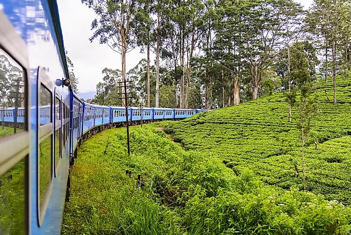 Ceylon country tour srilanka magic days known which british classic worldatlas referred formerly sri lanka colony crown when wildlife hill