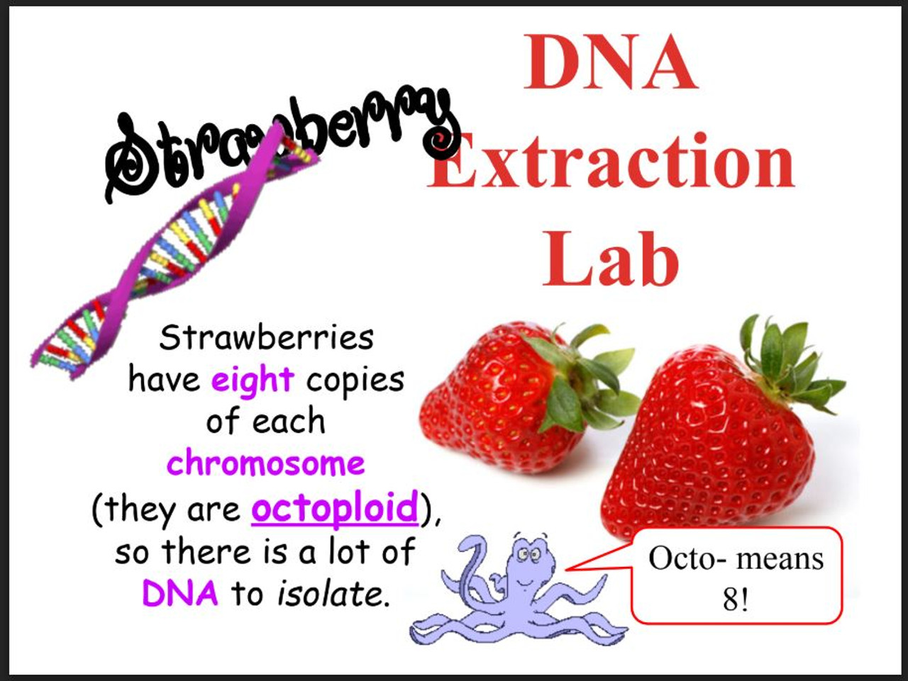 Strawberry dna extraction lab worksheet answer key